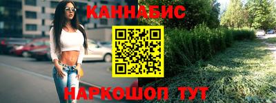 Альфа ПВП Ачхой-Мартан
