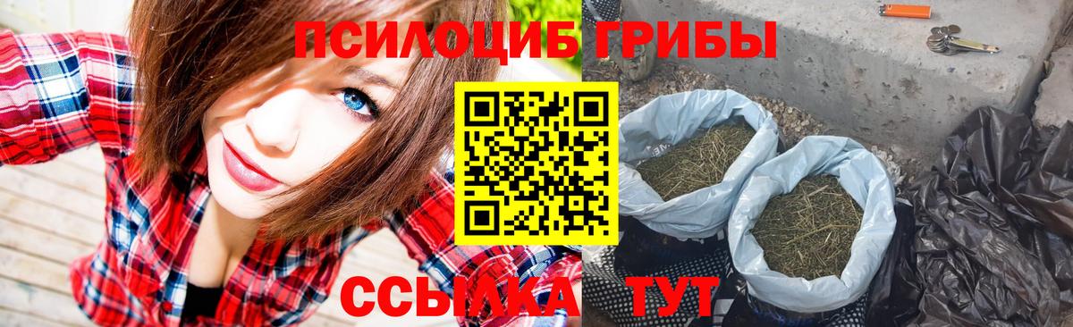 продажа наркотиков  Вход с VPN  Вичуга  Галлюциногенные грибы ЛСД 